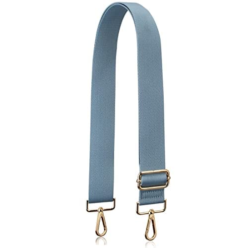 Allzedream Thick Strap Wide Adjustable Crossbody Handbag — Light Blue-gold Hardware