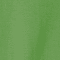 Lucky Mrs. — Grass Green