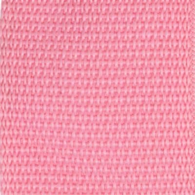 Ernie Ball Polypro Guitar/Bass Strap - Breaker Blue — Pink Sunrise
