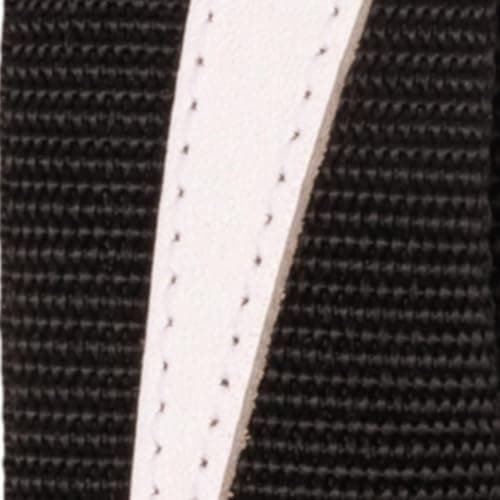 Ernie Ball Polypro Guitar/Bass Strap - Breaker Blue — White Lightning