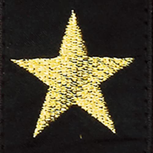 D'Addario Stars & Stripes Leather Guitar Strap — Gold Star