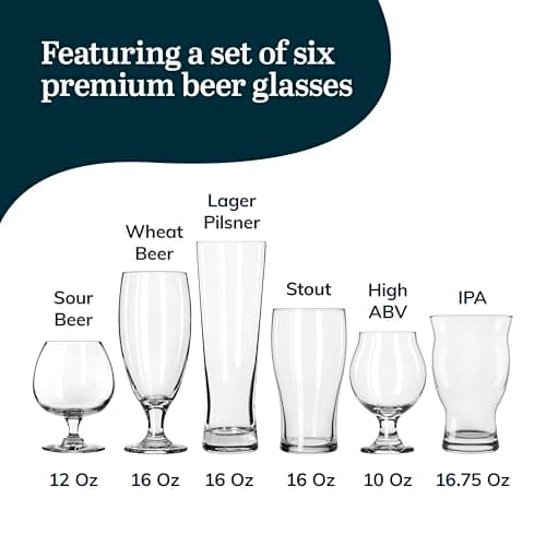 Craft Beer Glasses Set of 6 for Pilsner, Stout, Lager, IPA & More