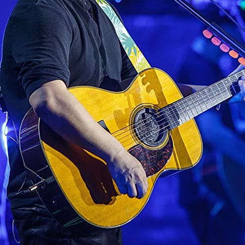 GLENLCWE Colorful Sea Turtle Guitar Strap for Acoustic, Electric & Bass