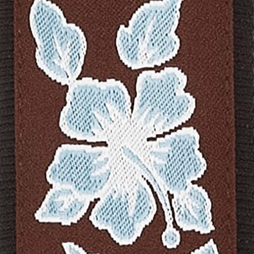 D'Addario Stars & Stripes Leather Guitar Strap — Aloha