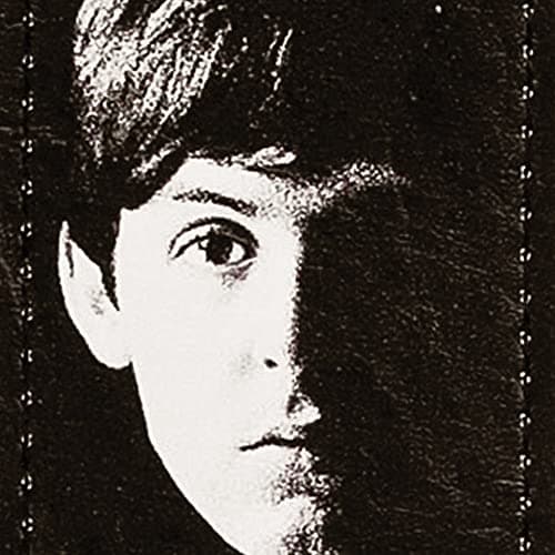 D'Addario Auto Lock Guitar Straps - Easy to Use for Acoustic & Electric Guitars — Meet the Beatles