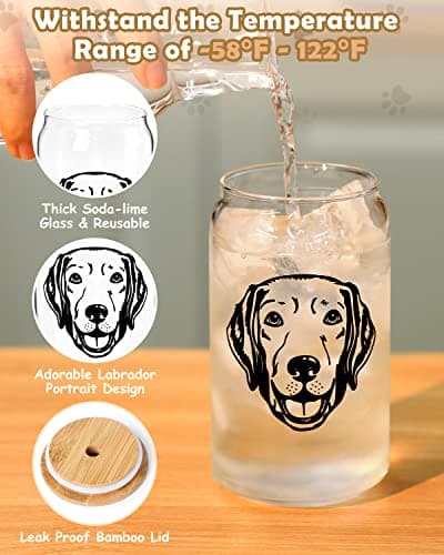 Labrador Portrait 16 OZ Dog Iced Coffee Glass with Lid and Metal Straw – Perfect Gift for Pet Lovers