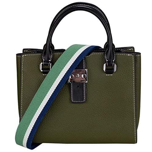 Allzedream Purse Strap Replacement Crossbody Handbag Stripe Wide Adjustable