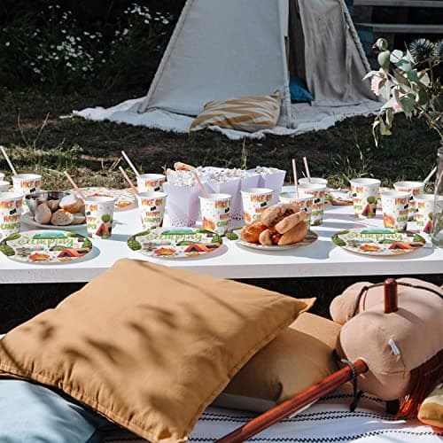 Campfire Themed Party Plates, Napkins, Cups & Utensils for Kids' Birthday, Serves 20 Guests