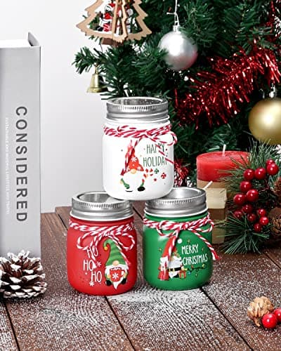 Christmas Gnome Mini Mason Jar Tiered Tray Decor for Farmhouse Home Decor